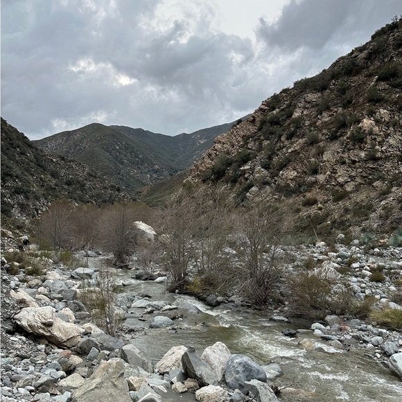 avitalhan